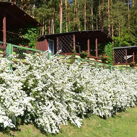 Hytte Letnisko Zalesie - W Samym Sercu Warmii I Mazur *
