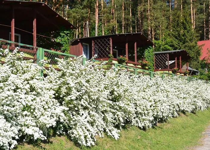 Lodge Letnisko Zalesie - W Samym Sercu Warmii I Mazur *